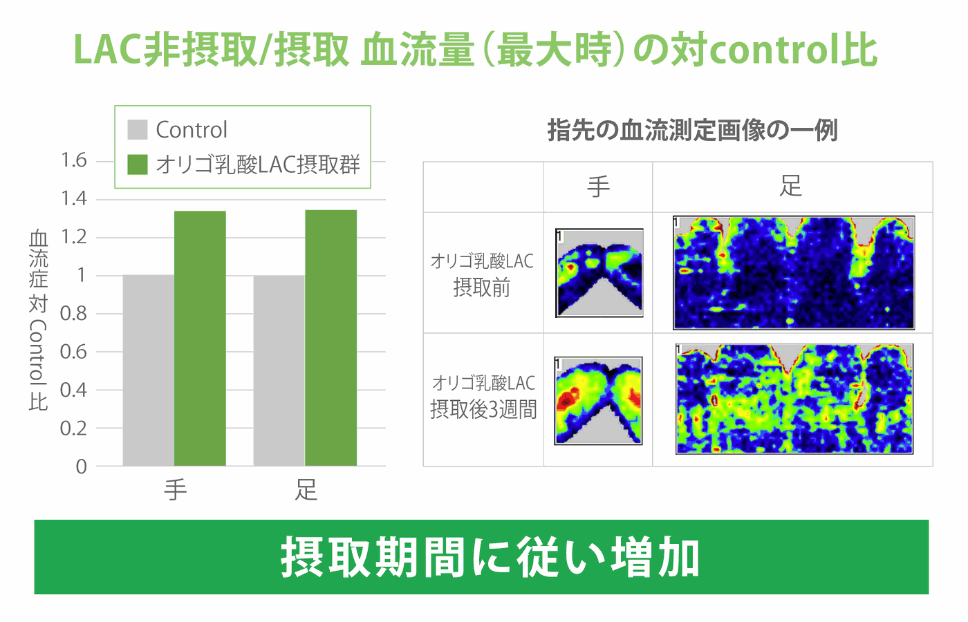 血流量(最大時)の対control比:手・足ともにLAC摂取で増加。摂取期間に従い増加